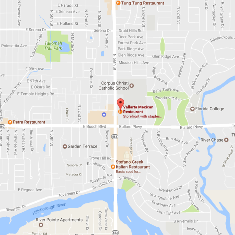 9255 n 56th st  temple terrace  fl 3361720170116 29105 igt357 960x960